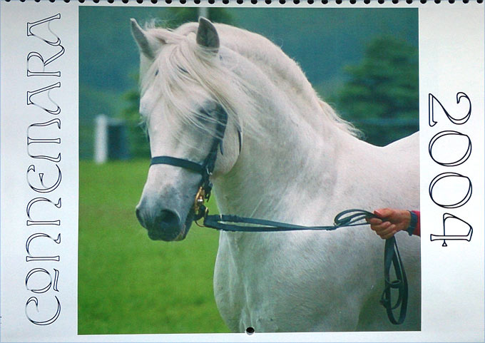 Cal2004_CPV