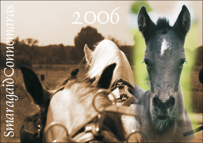 Cal2006_Connes