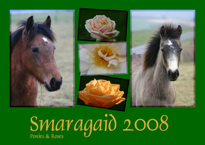 Cal2008_Ponies