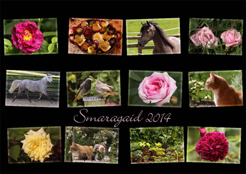 Cal2014_Smaragaid