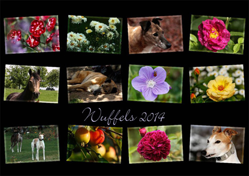 Cal2014_Wuffels