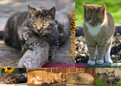Cats2014_Leliaardjes