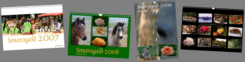 Kalender_Jahrgang