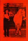 Lit_CPM_2000-2