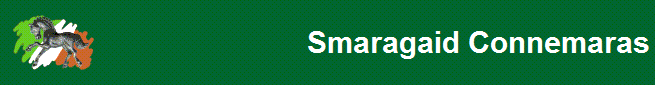 Smaragaid_Connemaras_NCompanyBanner