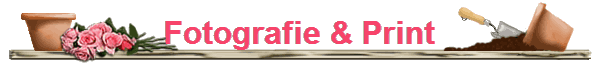 Fotografie & Print